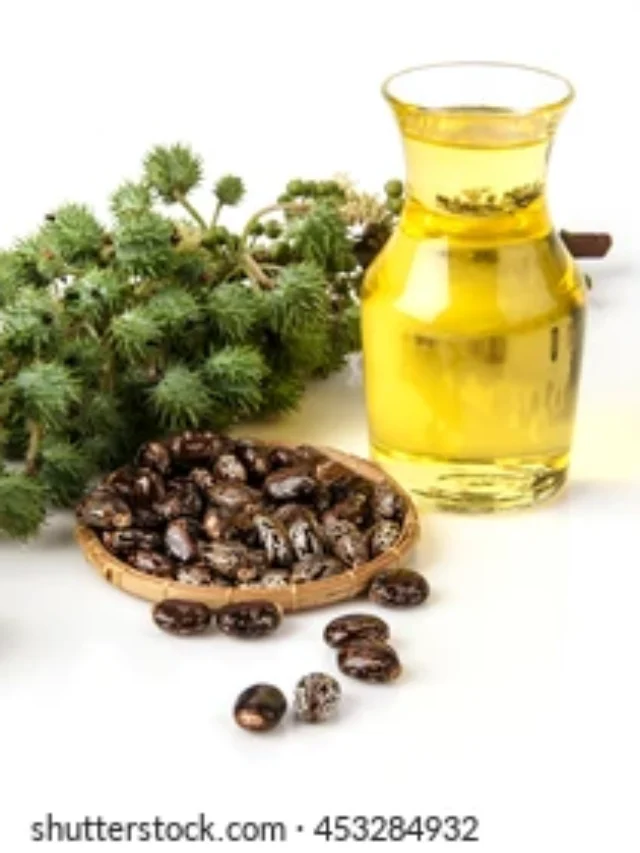 Castor Oil- A Health Booster For Your Hair